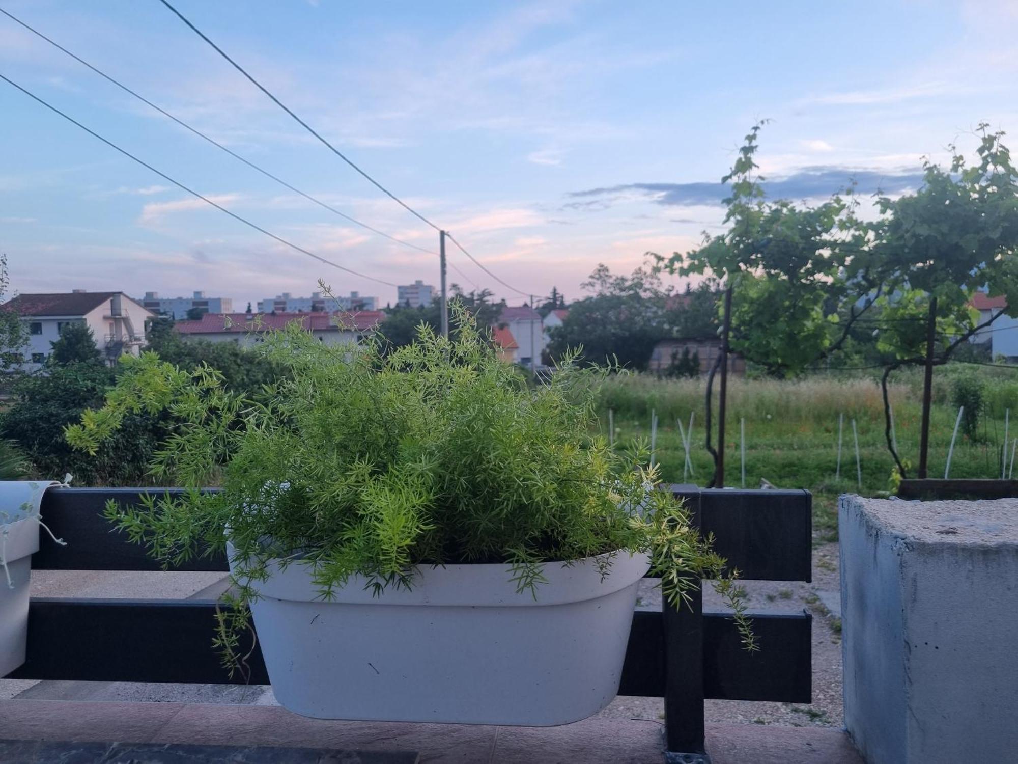 Apartman Dasa Rijeka Exterior foto